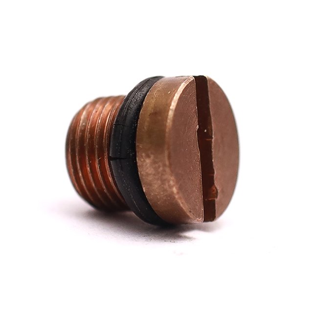 1/8" Drain Plug with O Ring